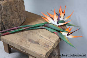 Bohemian Chic Paradijsvogelbloem Kunsttak Wereldse Strelitzia Kunstbloem NO 145 3