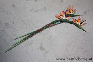 Bohemian Chic Paradijsvogelbloem Kunsttak Wereldse Strelitzia Kunstbloem NO 145 4