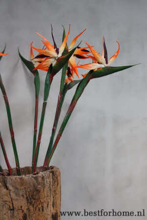 Bohemian Chic Paradijsvogelbloem Kunsttak Wereldse Strelitzia Kunstbloem NO 145 5