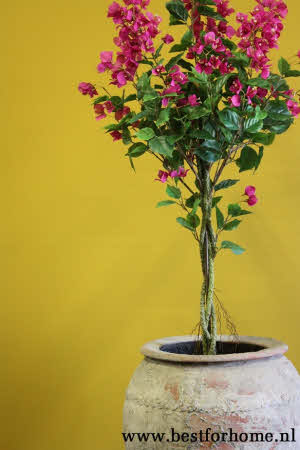 Oude Stoere Waterkruik Originele Vintage  Pot XL NO 503 2